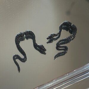 Black Snake Earrings
